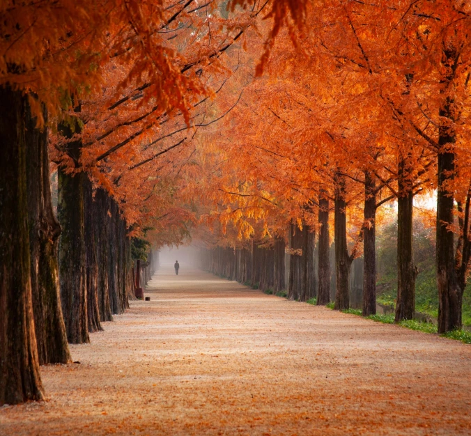 Prylar för vinter, sommar, höst och vår
