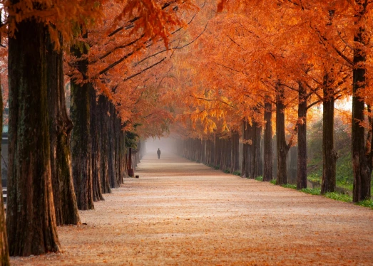 Säsongsbetonade prylar